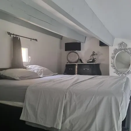 公寓 Le Miroir 阿格德